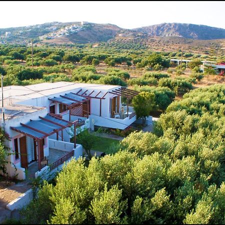 Apartamento Voula'S Casa Di Mare Palaikastro Exterior foto