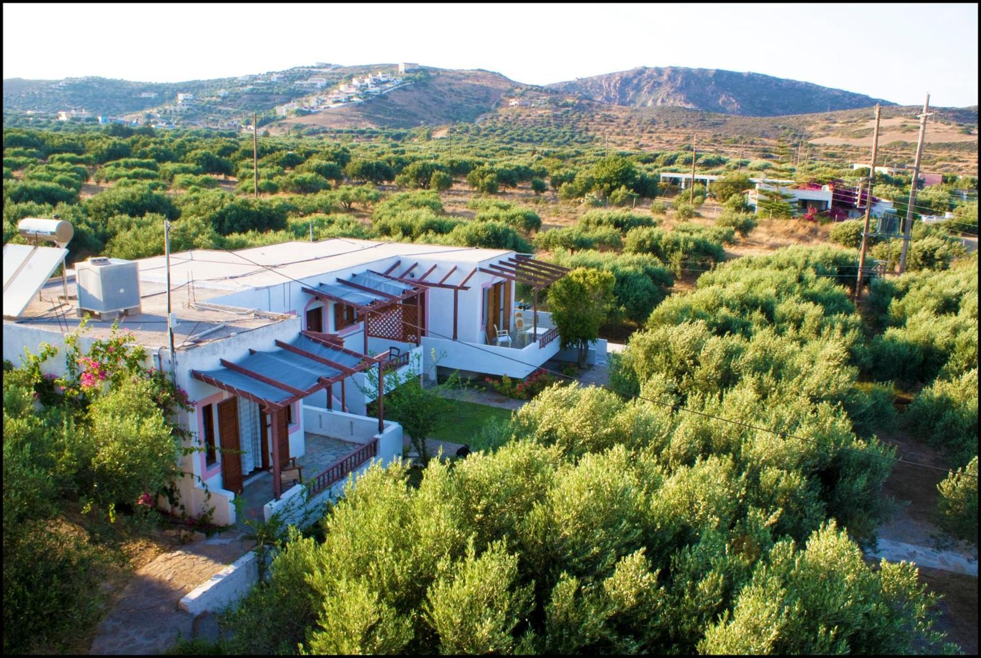 Apartamento Voula'S Casa Di Mare Palaikastro Exterior foto
