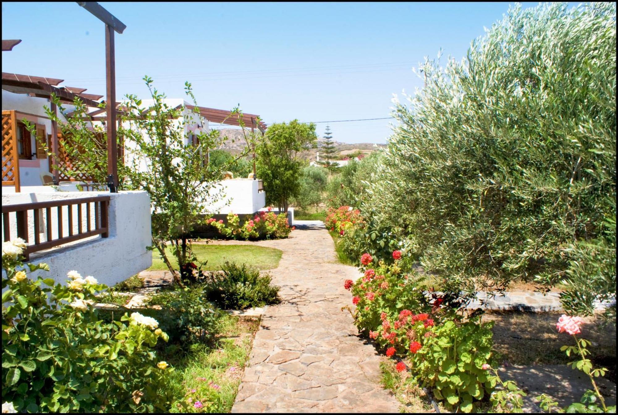 Apartamento Voula'S Casa Di Mare Palaikastro Exterior foto