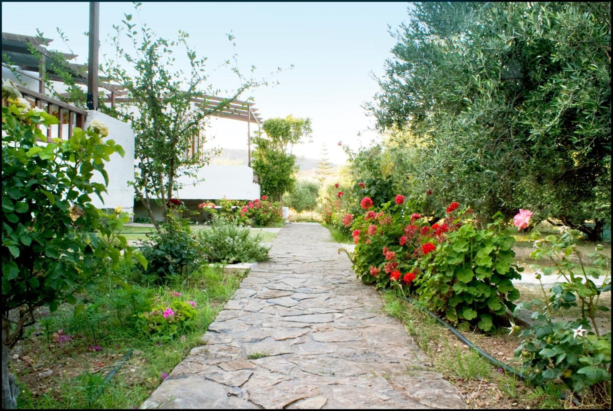 Apartamento Voula'S Casa Di Mare Palaikastro Exterior foto